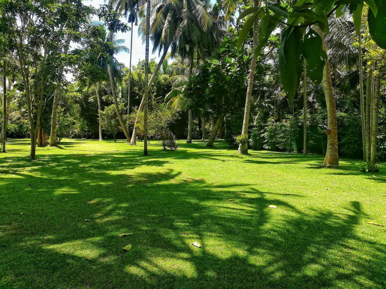 Old Parkland Hostel Galle Exterior foto